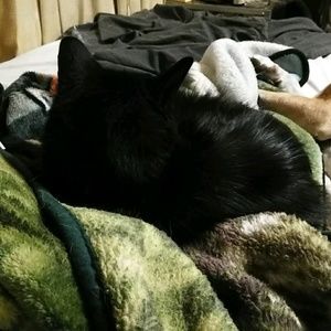 Meet your Posher, Crystal